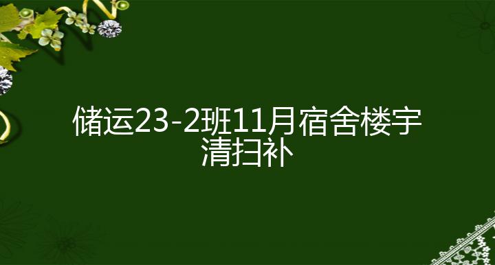 储运23-2班11月宿舍楼宇清扫补